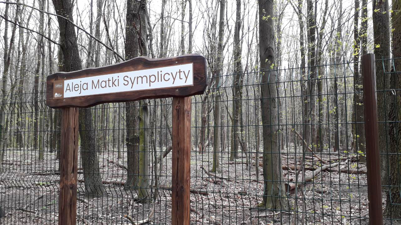 Aleja Matki Symplicyty